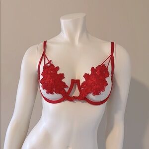 Red Lace Bra